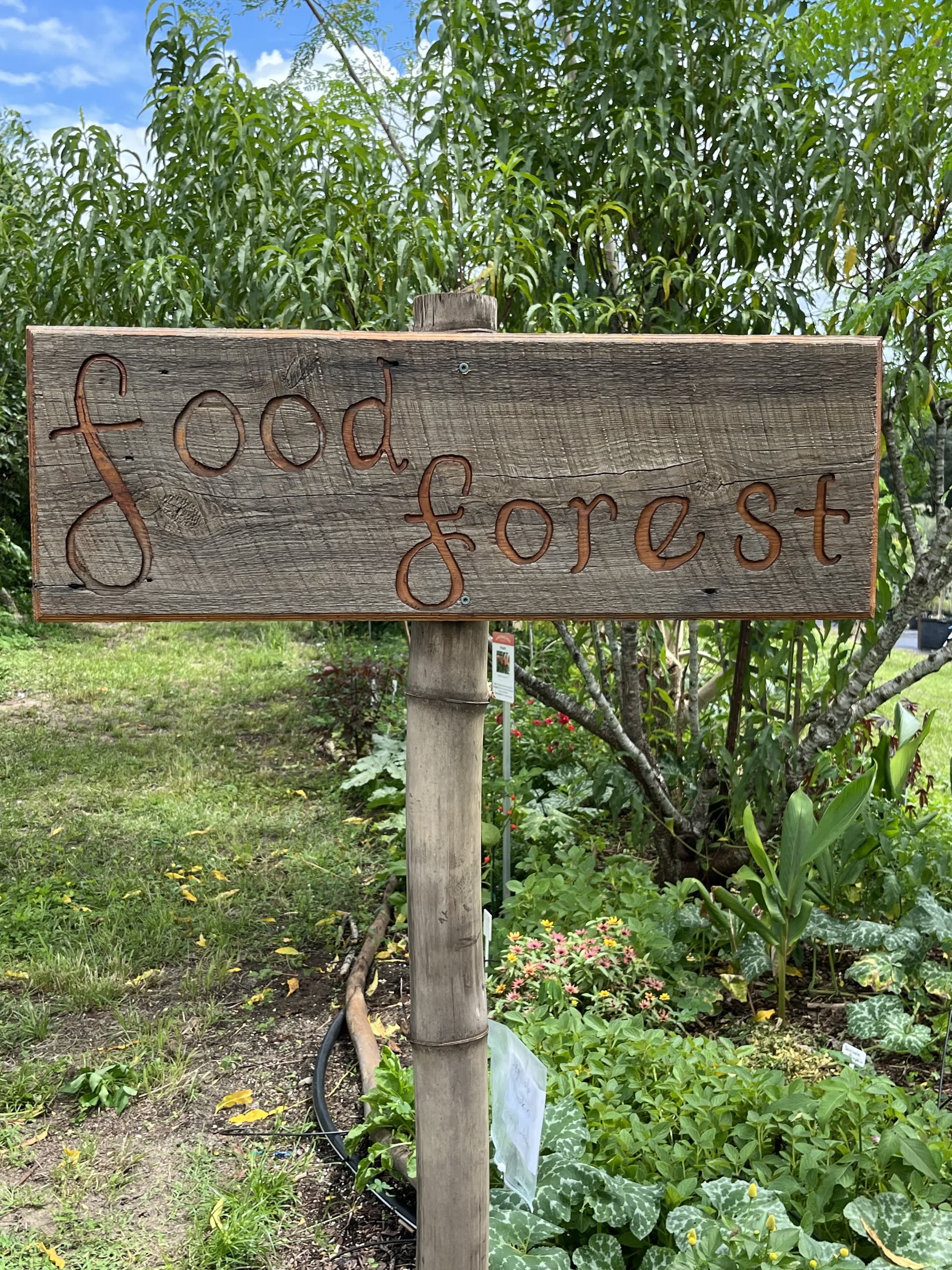 A hand-carved Food Forest sign at the edge of the planted garden